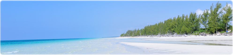 Golden beach