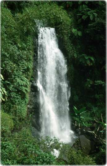 Trafalgar Falls