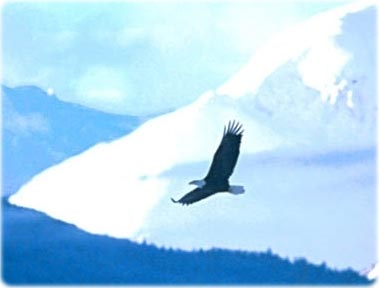 Alasca