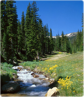 Colorado