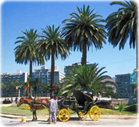 Valparaiso
