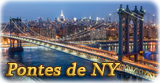 Pontes NY