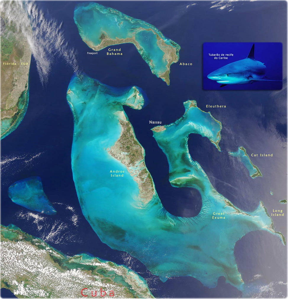 Imagem Bahamas