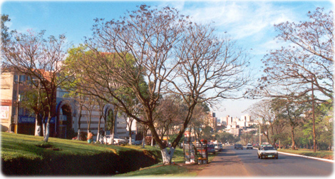 Cidade del leste