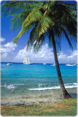 Grenadines